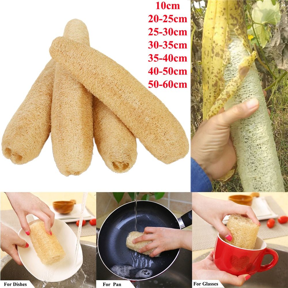 Body Loofah Natural - ใยบวบธรรมชาติ ฟองน้ำล้างจานแบบยาว ไม่ติดคราบ ซึมซับดี ใช้ได้ทั้งล้างจานและอาบน้ำ เป็นมิตรต่อสิ่งแวดล้อม
