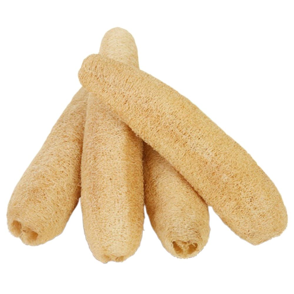 ใยบวบธรรมชาติ ฟองน้ำล้างจานแบบ - Body Loofah Natural บทวิจารณ์และราคา