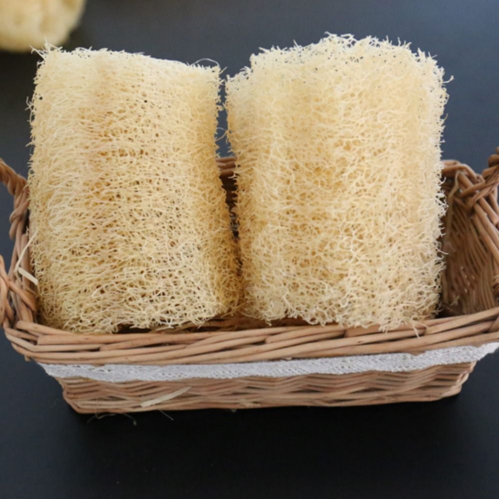 ใยบวบธรรมชาติ ฟองน้ำล้างจานแบบ - Body Loofah Natural บทวิจารณ์และราคา