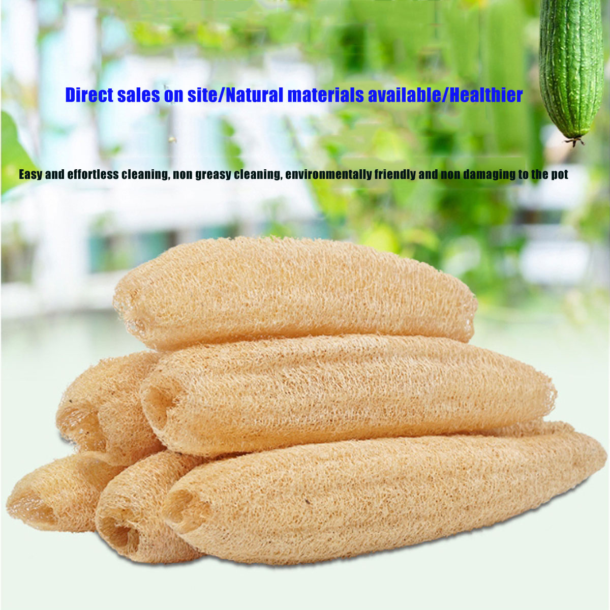 ฟองน้ำใยบวบธรรมชาติ 1 ชิ้น อุป - Body Loofah Natural บทวิจารณ์และราคา