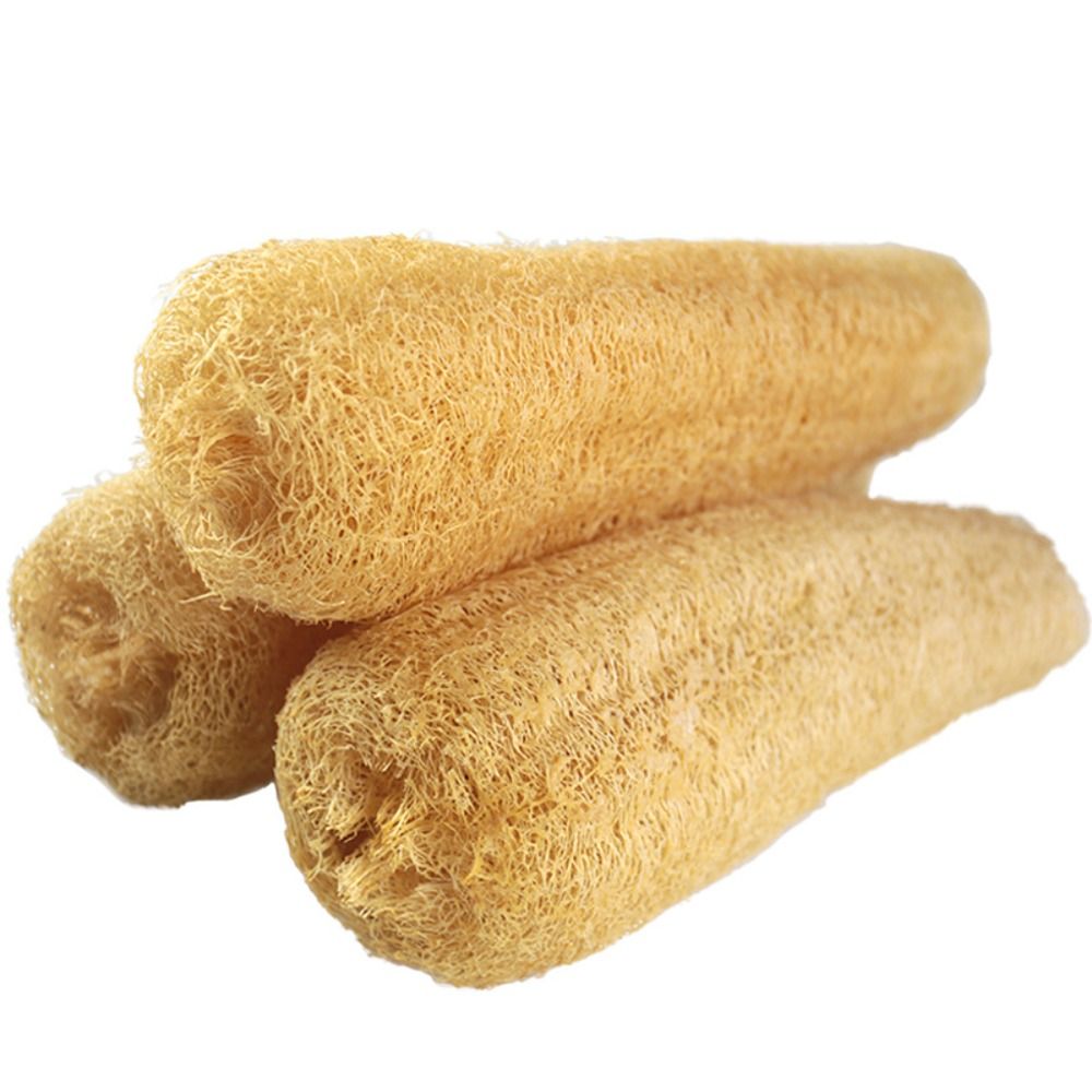 ใยบวบธรรมชาติ ฟองน้ำลูฟาห์ ใยบ - Body Loofah Natural บทวิจารณ์และราคา