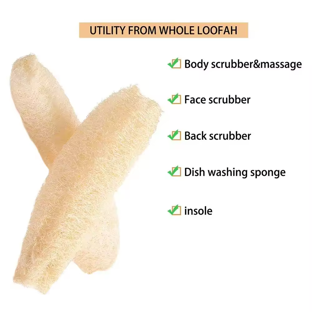 ฟองน้ำใยบวบธรรมชาติ อุปกรณ์ทำค - Body Loofah Natural บทวิจารณ์และราคา