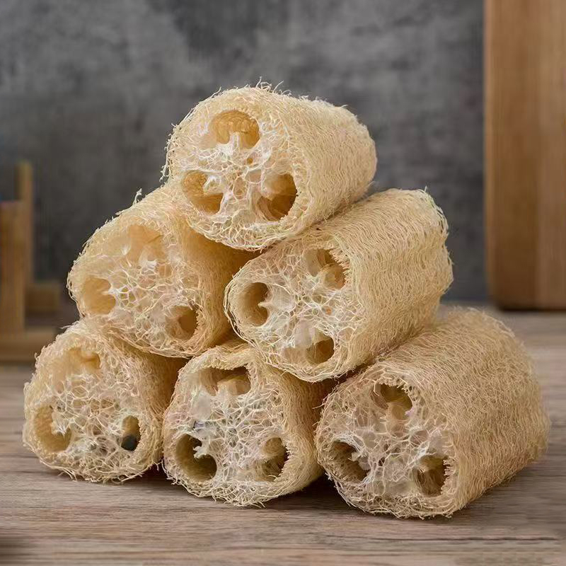ใยบวบธรรมชาติสำหรับล้างจาน หม้ - Body Loofah Natural บทวิจารณ์และราคา