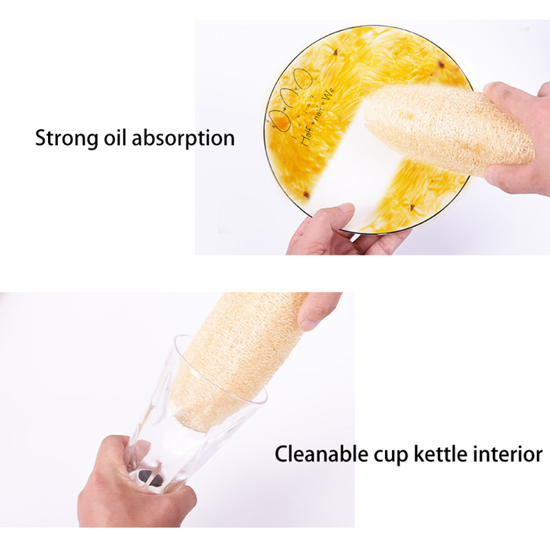 ใยบวบธรรมชาติสำหรับล้างจาน หม้ - Body Loofah Natural บทวิจารณ์และราคา
