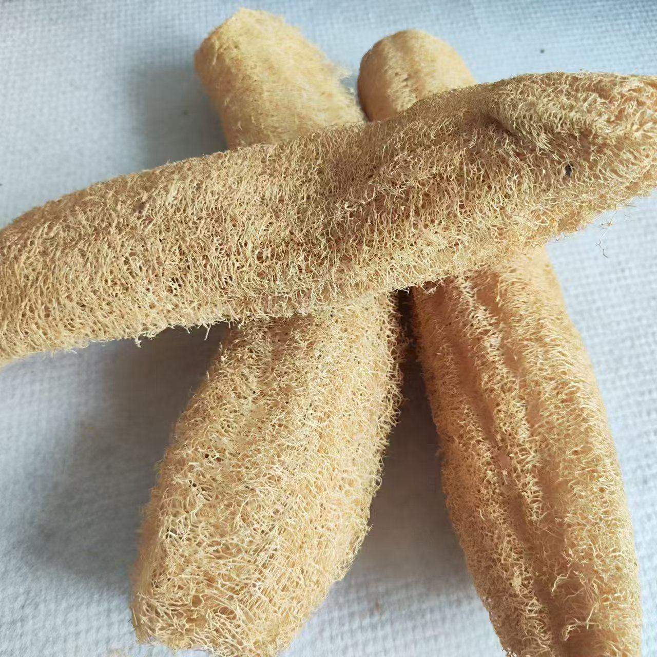 ฟองน้ำใยบวบมหัศจรรย์อเนกประสงค - Body Loofah Natural บทวิจารณ์และราคา